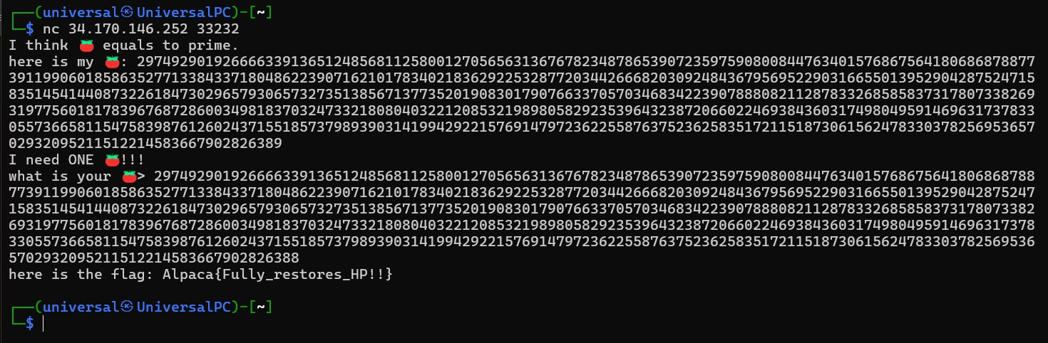 Terminal Solve